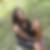 Photo de profil de Trécy Sopha