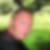 Photo de profil de Rose Francois