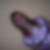 Photo de profil de Christina Gossey