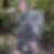 Photo de profil de Marc Volay