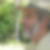 Photo de profil de Serge Bouvet