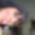 Photo de profil de Sandy Anclin