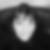 Photo de profil de Catherine Navarre