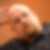 Photo de profil de Richard Bollier