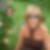 Photo de profil de Martine Andrian
