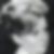 Photo de profil de Nicole Antoinette