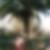 Photo de profil de Blandine Miniou