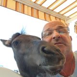 Photo de profil de Jean-Jacques Fuentes