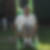 Photo de profil de Philippe Marchesseau