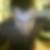 Photo de profil de Dorian Sauvage