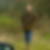 Photo de profil de Jean Rongeot