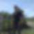 Photo de profil de Damien Bachelard