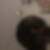 Photo de profil de Djenaba Drame