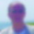 Photo de profil de Patrick Moneta