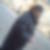 Photo de profil de Beatrice BARALLE