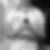 Photo de profil de Antoine Avenel