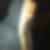 Photo de profil de Kevin David