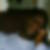 Photo de profil de Cyprien Fiasse