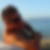 Photo de profil de Nicolas Huttin