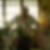 Photo de profil de Guy Defebvin