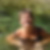 Photo de profil de Emmanuelle Absin