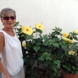 Photo de profil de Marie Couetoux Du Tertre