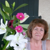 Photo de profil de Irene Gauer