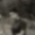 Photo de profil de Françoise Palayer