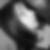 Photo de profil de Marion Liris