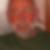 Photo de profil de Denis Gerard
