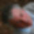 Photo de profil de Jean-Luc Bergonzi