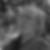 Photo de profil de Francois Liehrmann