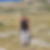 Photo de profil de Ghislaine Grulois