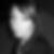 Photo de profil de Wendy Dierinck