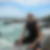 Photo de profil de Freddy Grene
