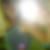 Photo de profil de Priscillia Vandecotte
