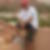 Photo de profil de Mohamed El Harouchi