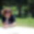Photo de profil de Joelle Jaubert