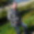 Photo de profil de Pierre Bednar