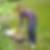 Photo de profil de Bayard Fiandraza
