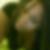 Photo de profil de Johelen Laballe