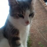 Photo de profil de Valerie Ducrocq