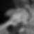 Photo de profil de Jose Daudre