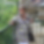 Photo de profil de Catherine Dufour