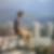 Photo de profil de Kylian Moreau