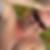 Photo de profil de Eric Laplaud
