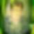Photo de profil de Franck Aucher