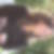 Photo de profil de Parisis Beatrice