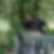 Photo de profil de Andreas Meier
