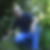 Photo de profil de Cedric Villenave